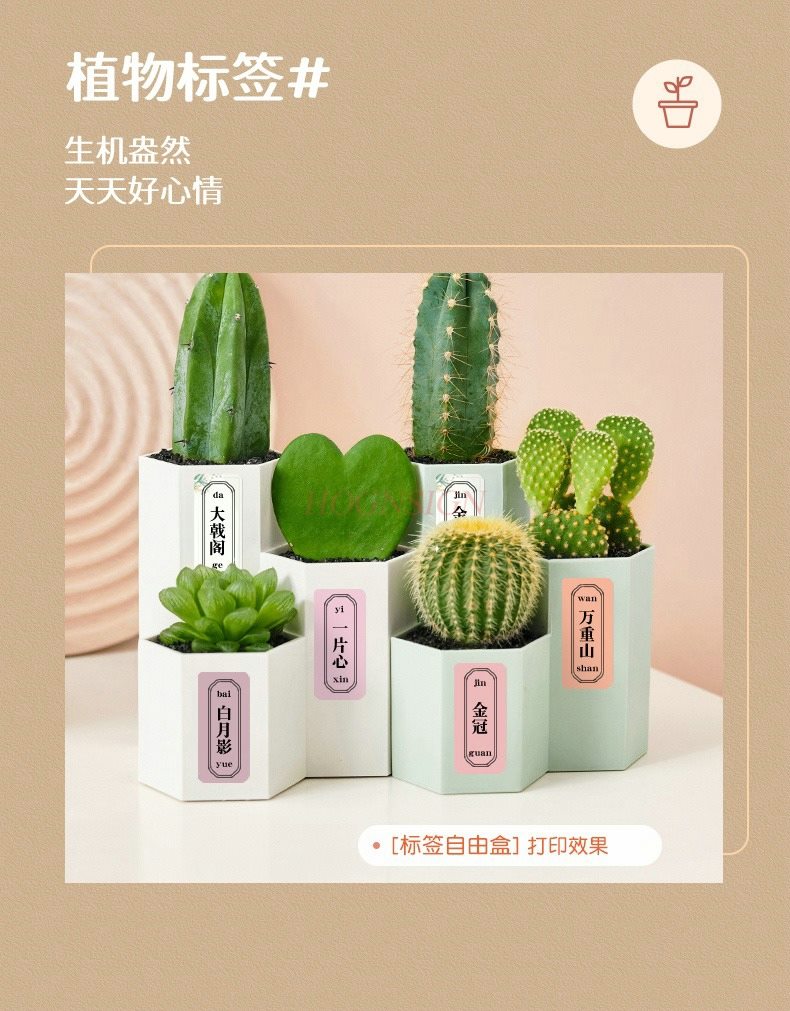 1세트 라벨 프린터 가정용 휴대용 블루투스 미니 열전사 - Commercial Printing Machine Price 리뷰 및 가격
